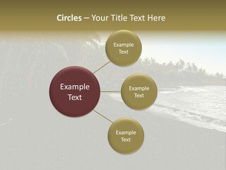 A Black Beach With Palm Trees And Water PowerPoint Template