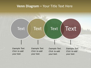 A Black Beach With Palm Trees And Water PowerPoint Template