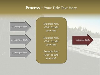 A Black Beach With Palm Trees And Water PowerPoint Template