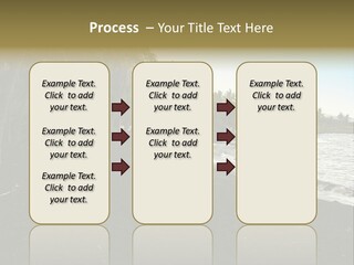 A Black Beach With Palm Trees And Water PowerPoint Template