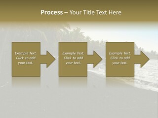 A Black Beach With Palm Trees And Water PowerPoint Template