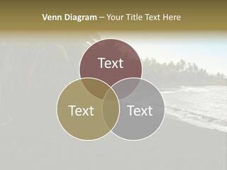 A Black Beach With Palm Trees And Water PowerPoint Template