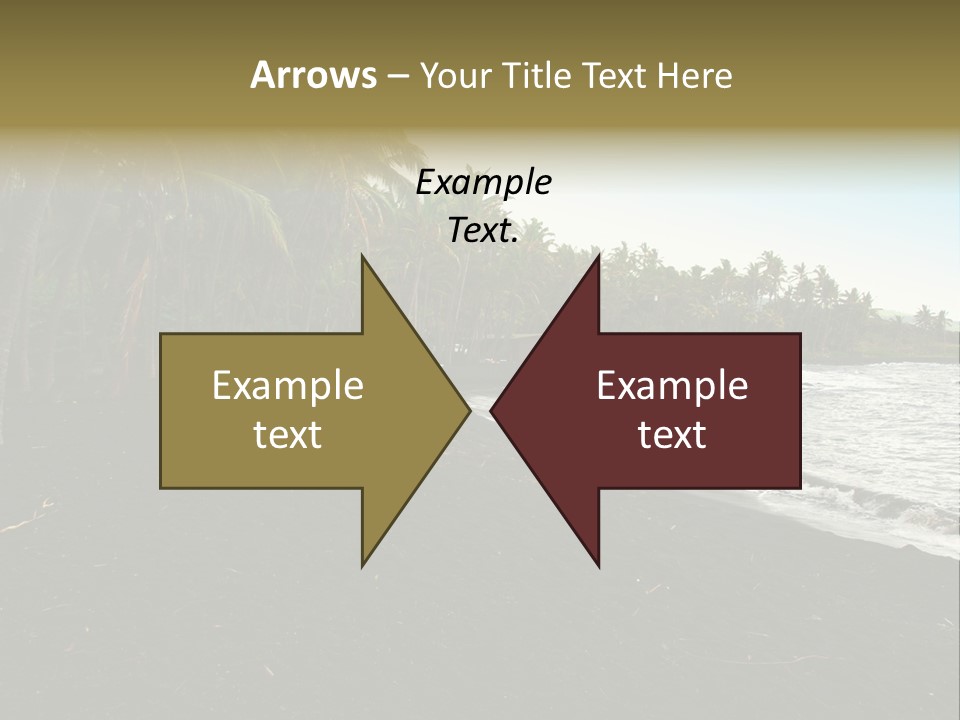 A Black Beach With Palm Trees And Water PowerPoint Template