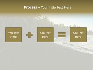A Black Beach With Palm Trees And Water PowerPoint Template