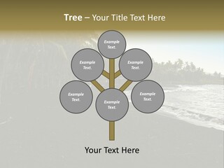 A Black Beach With Palm Trees And Water PowerPoint Template