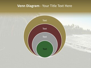 A Black Beach With Palm Trees And Water PowerPoint Template