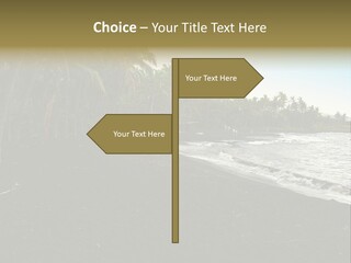 A Black Beach With Palm Trees And Water PowerPoint Template