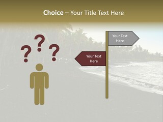 A Black Beach With Palm Trees And Water PowerPoint Template