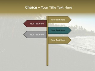 A Black Beach With Palm Trees And Water PowerPoint Template