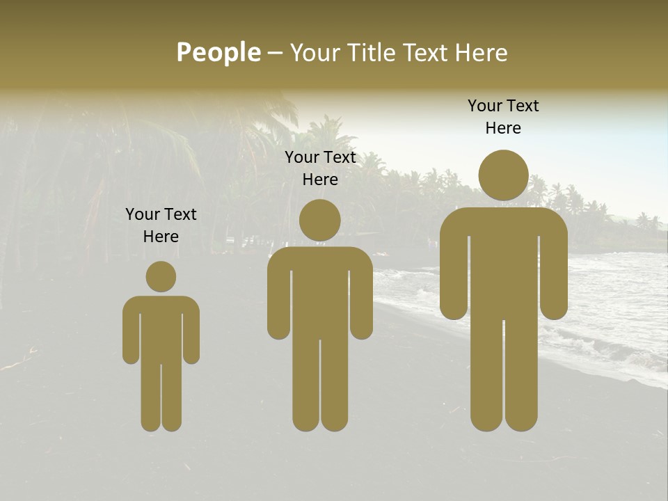 A Black Beach With Palm Trees And Water PowerPoint Template