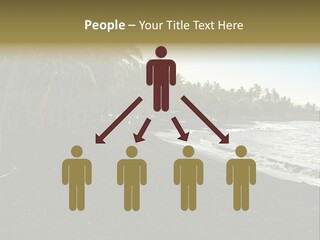 A Black Beach With Palm Trees And Water PowerPoint Template