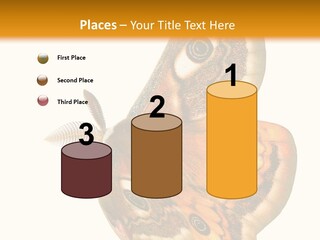 A Large Butterfly With Two Eyes On It's Wings PowerPoint Template