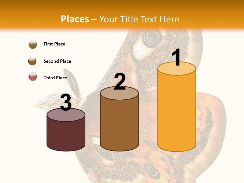 A Large Butterfly With Two Eyes On It's Wings PowerPoint Template