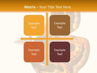 A Large Butterfly With Two Eyes On It's Wings PowerPoint Template