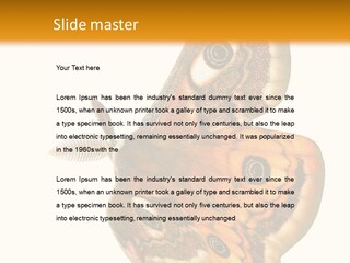 A Large Butterfly With Two Eyes On It's Wings PowerPoint Template