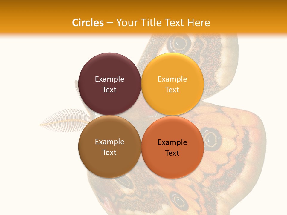 A Large Butterfly With Two Eyes On It's Wings PowerPoint Template