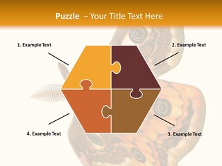 A Large Butterfly With Two Eyes On It's Wings PowerPoint Template