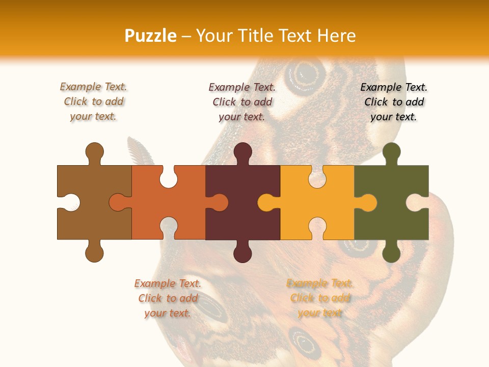 A Large Butterfly With Two Eyes On It's Wings PowerPoint Template