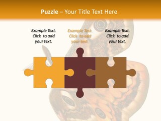 A Large Butterfly With Two Eyes On It's Wings PowerPoint Template