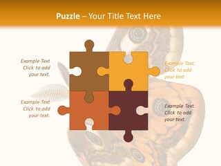 A Large Butterfly With Two Eyes On It's Wings PowerPoint Template