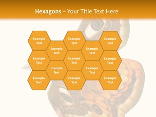 A Large Butterfly With Two Eyes On It's Wings PowerPoint Template