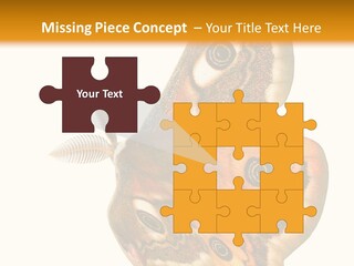A Large Butterfly With Two Eyes On It's Wings PowerPoint Template