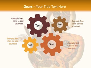 A Large Butterfly With Two Eyes On It's Wings PowerPoint Template