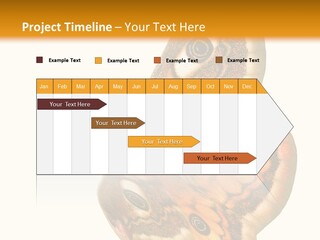 A Large Butterfly With Two Eyes On It's Wings PowerPoint Template