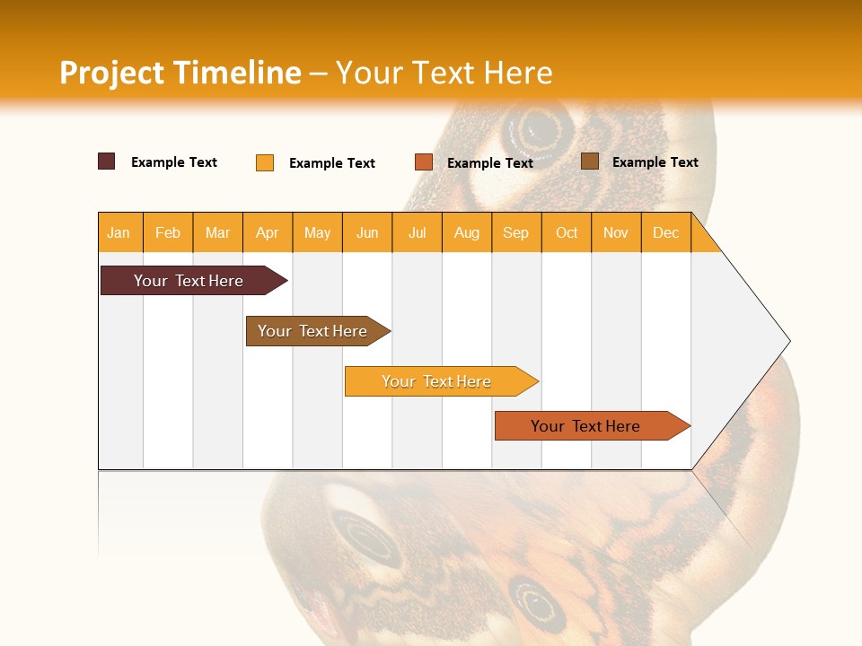 A Large Butterfly With Two Eyes On It's Wings PowerPoint Template