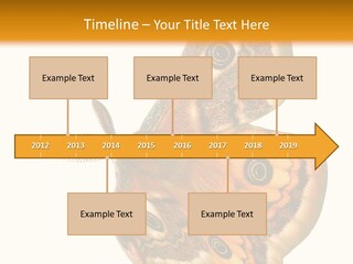 A Large Butterfly With Two Eyes On It's Wings PowerPoint Template