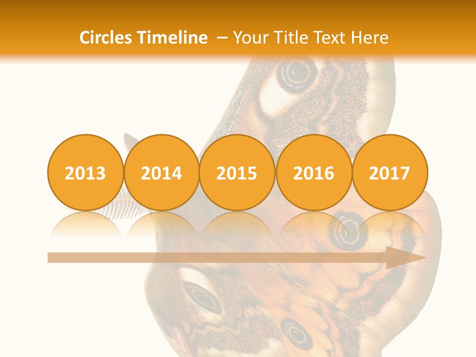 A Large Butterfly With Two Eyes On It's Wings PowerPoint Template