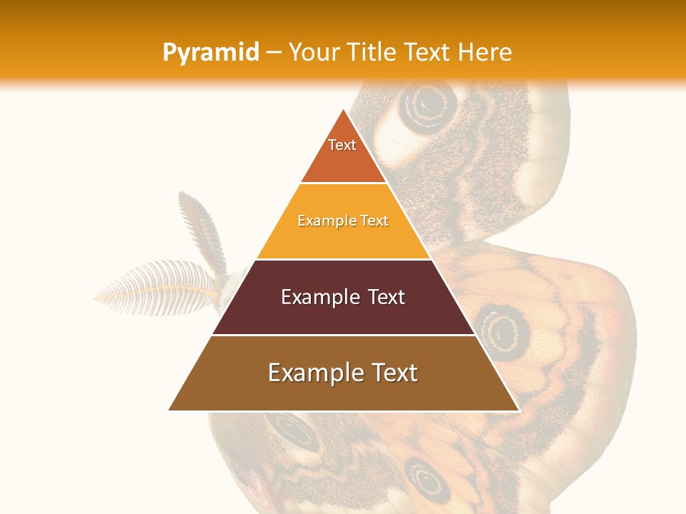 A Large Butterfly With Two Eyes On It's Wings PowerPoint Template