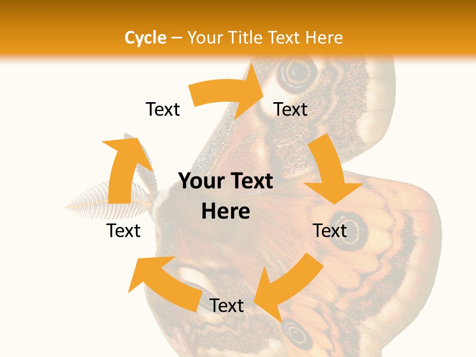 A Large Butterfly With Two Eyes On It's Wings PowerPoint Template