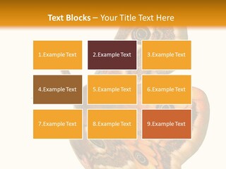 A Large Butterfly With Two Eyes On It's Wings PowerPoint Template