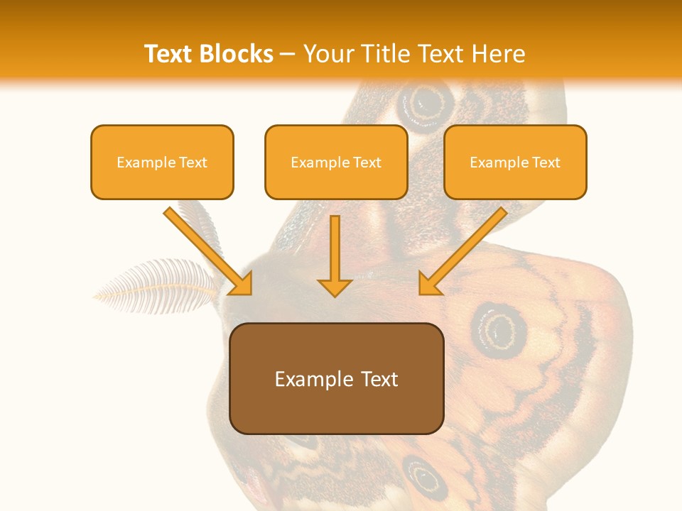 A Large Butterfly With Two Eyes On It's Wings PowerPoint Template