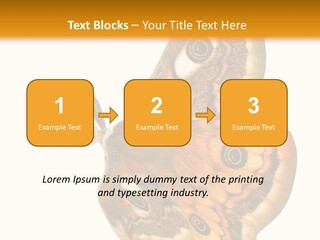 A Large Butterfly With Two Eyes On It's Wings PowerPoint Template