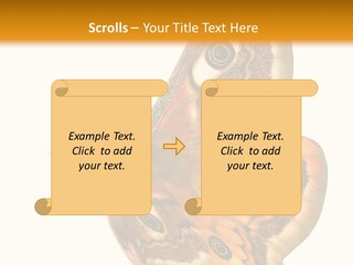 A Large Butterfly With Two Eyes On It's Wings PowerPoint Template