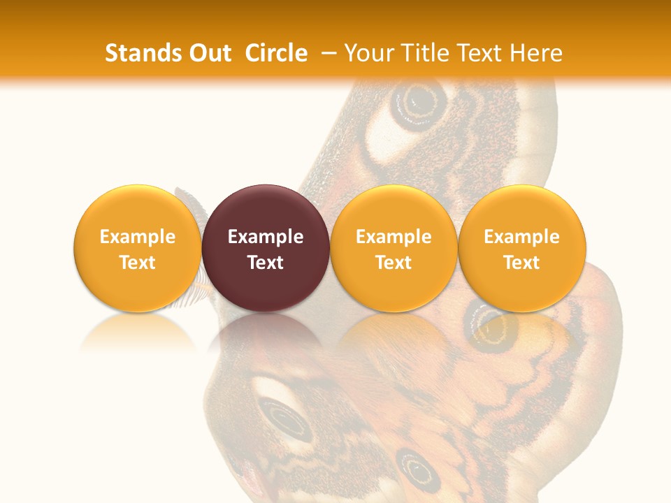 A Large Butterfly With Two Eyes On It's Wings PowerPoint Template