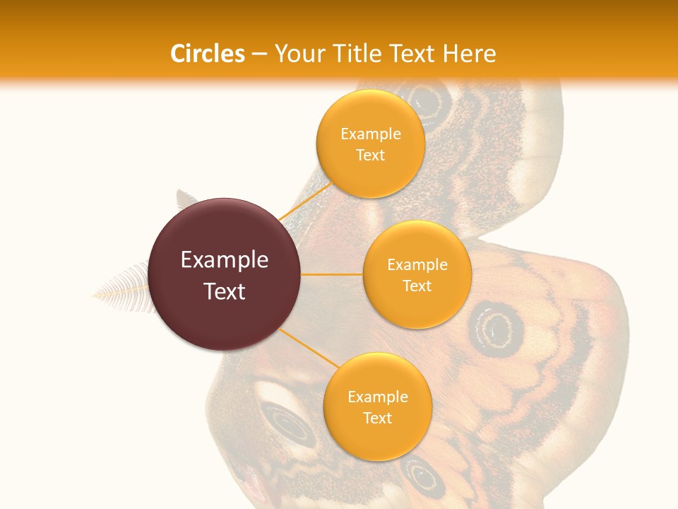 A Large Butterfly With Two Eyes On It's Wings PowerPoint Template