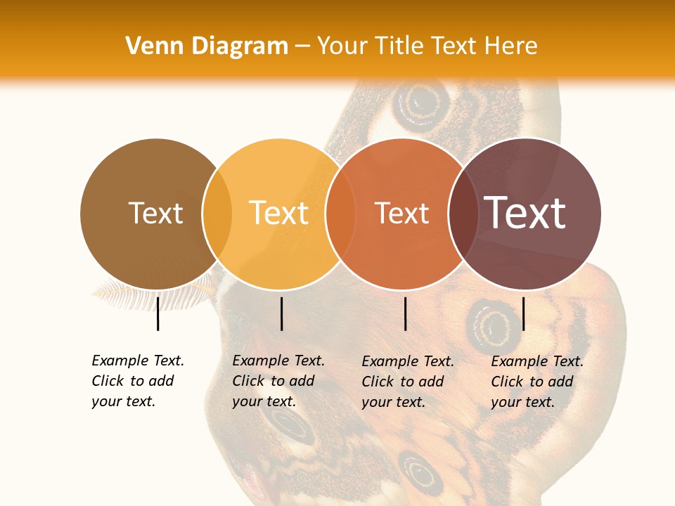 A Large Butterfly With Two Eyes On It's Wings PowerPoint Template