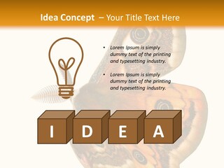 A Large Butterfly With Two Eyes On It's Wings PowerPoint Template