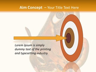 A Large Butterfly With Two Eyes On It's Wings PowerPoint Template