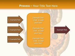 A Large Butterfly With Two Eyes On It's Wings PowerPoint Template