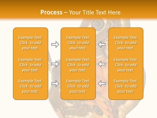 A Large Butterfly With Two Eyes On It's Wings PowerPoint Template