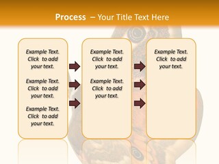 A Large Butterfly With Two Eyes On It's Wings PowerPoint Template