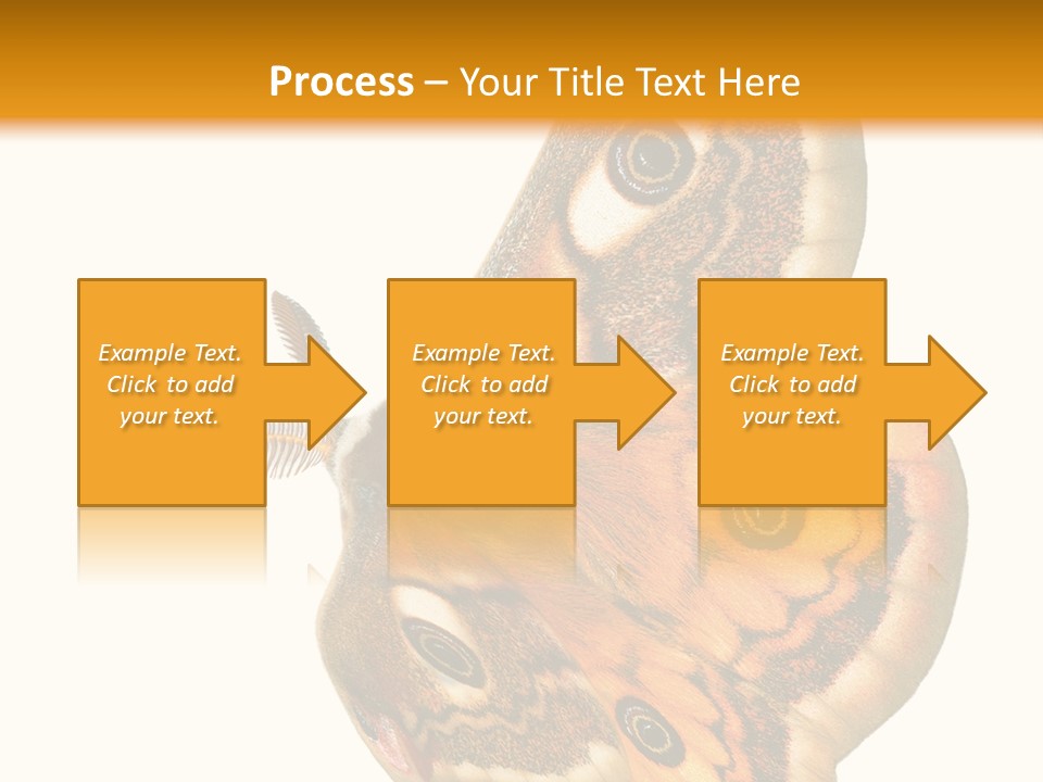 A Large Butterfly With Two Eyes On It's Wings PowerPoint Template