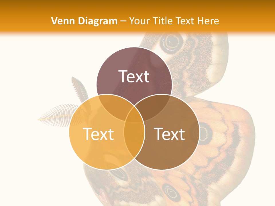 A Large Butterfly With Two Eyes On It's Wings PowerPoint Template