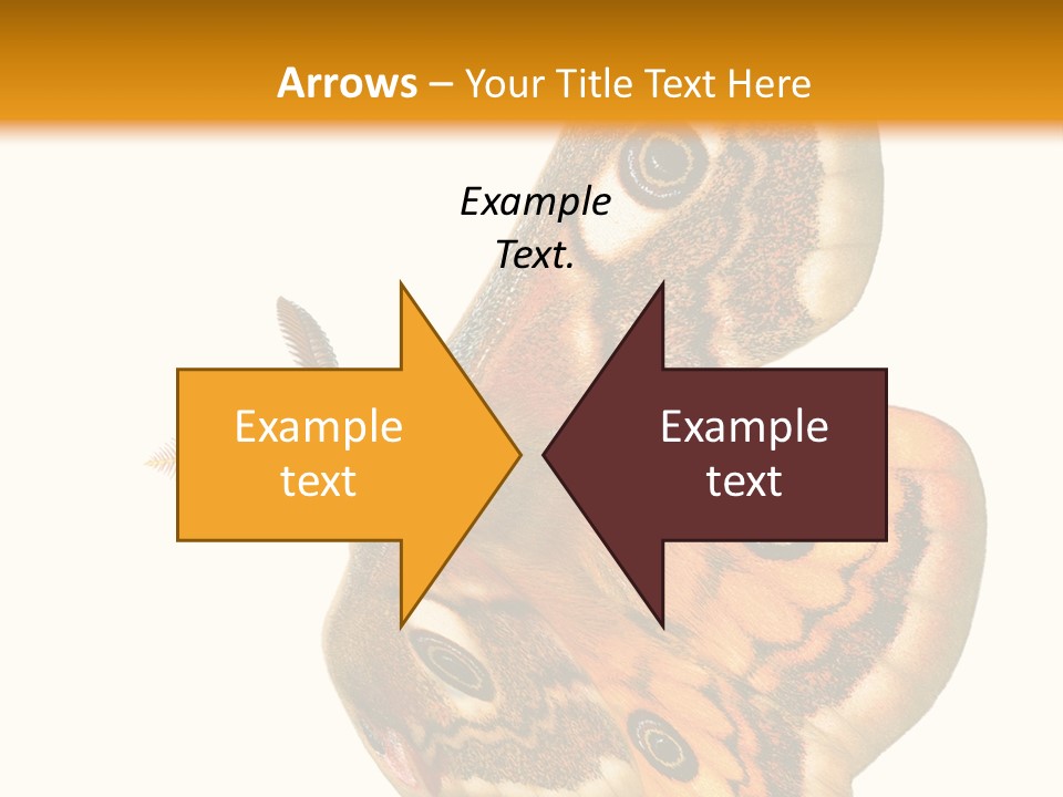 A Large Butterfly With Two Eyes On It's Wings PowerPoint Template