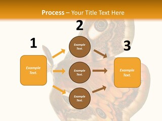 A Large Butterfly With Two Eyes On It's Wings PowerPoint Template