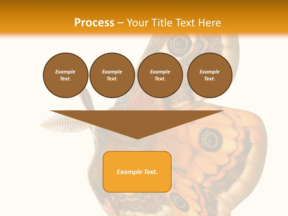 A Large Butterfly With Two Eyes On It's Wings PowerPoint Template